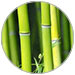 purer-bambus